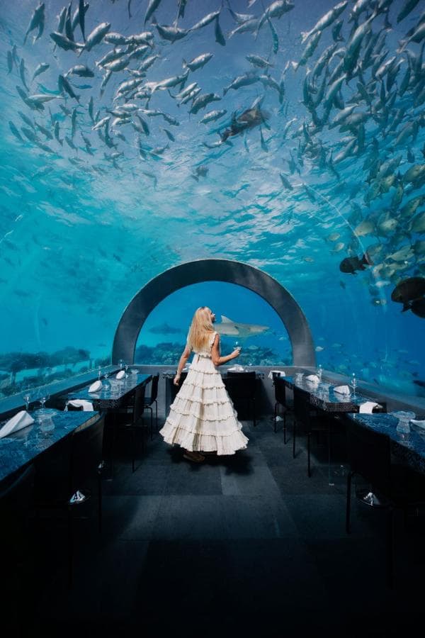 You & Me Maldives underwater